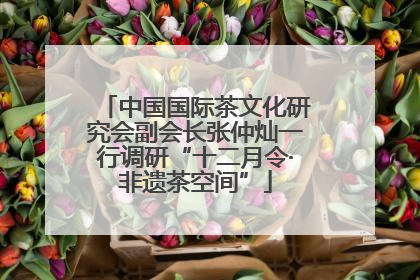 中国国际茶文化研究会副会长张仲灿一行调研“十二月令·非遗茶空间”